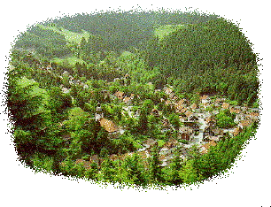 Wildemann